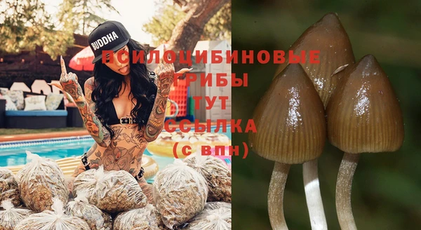 эйфоретик Аркадак