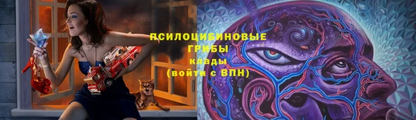 героин Алексин