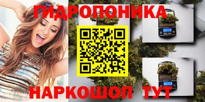 крисы Гусиноозёрск