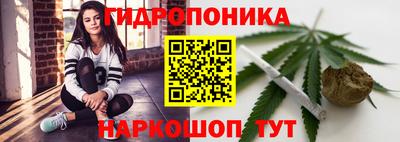 крисы Гусиноозёрск