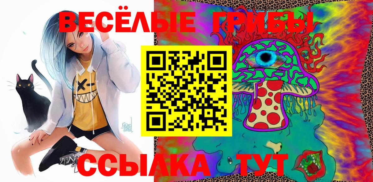 Галлюциногенные грибы мицелий  Галлюциногенные грибы прущие грибы  Майкоп  Вход с VPN 